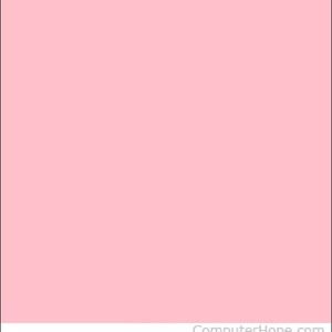 Meet your Posher, Payton